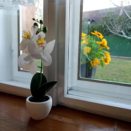 Salas 1860 - * Palics