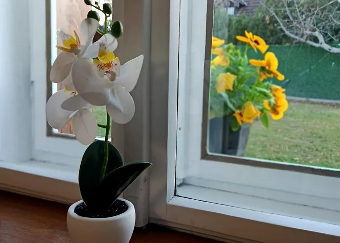 Salas 1860 - * Palić